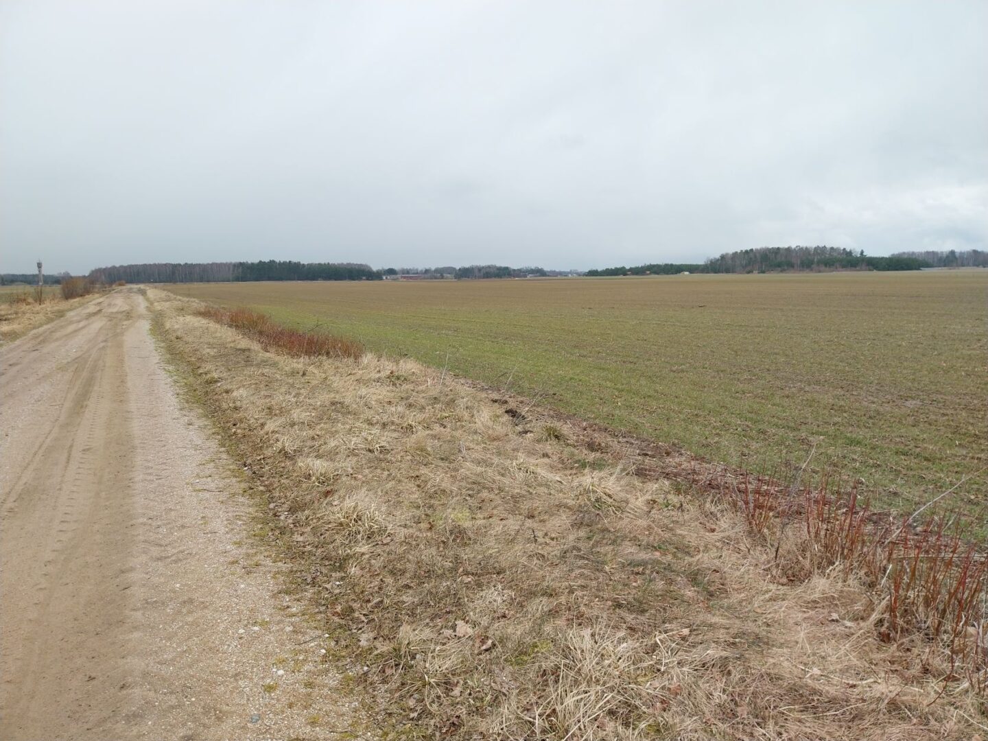 Sklypas Klaipėdos raj. Agluonėnuose