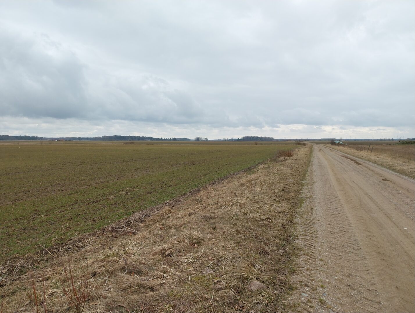 Sklypas Klaipėdos raj. Agluonėnuose