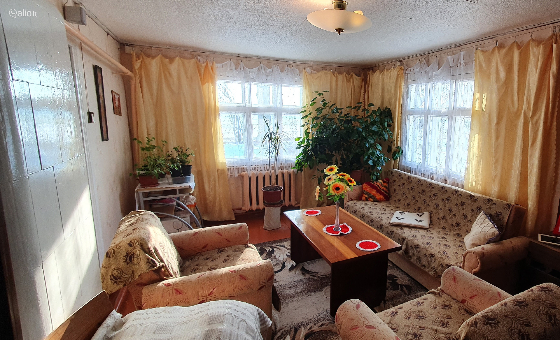 Sodyba vienkiemyje Pasvalio r.