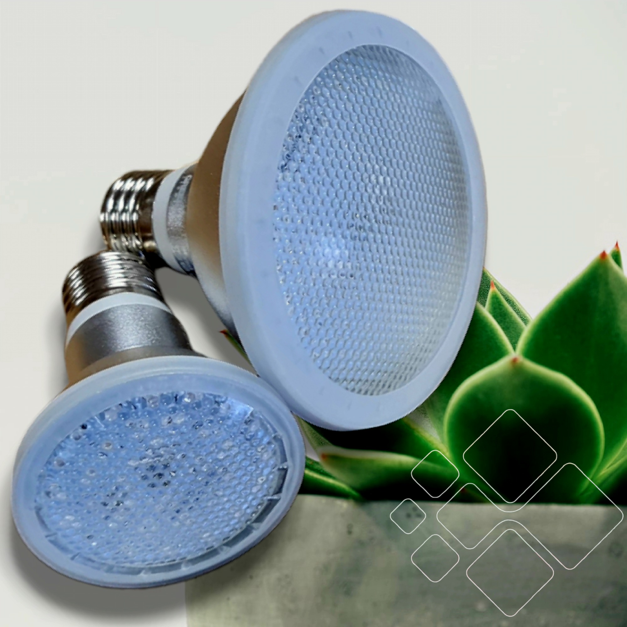 LED augalams (fitolempos)