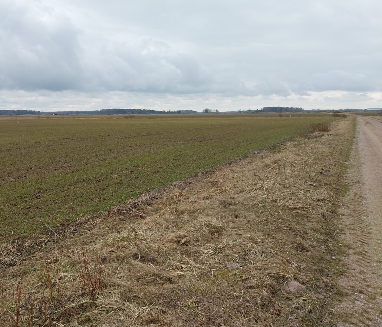 Sklypas Klaipėdos raj. Agluonėnuose