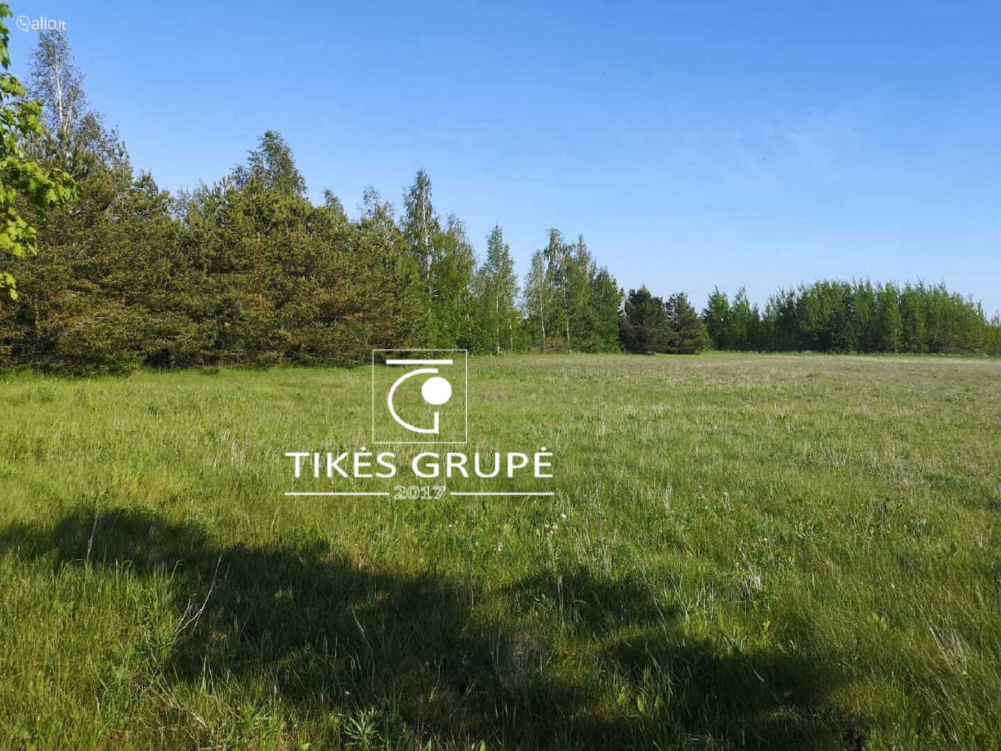 Klaipėdos r. Svencelės k. Parduodamas 1.2 hektaro sklypas. Sklypas puikiai tinkantis investicijai, bei kurti gyvenamųjų namų kvartaliuką,