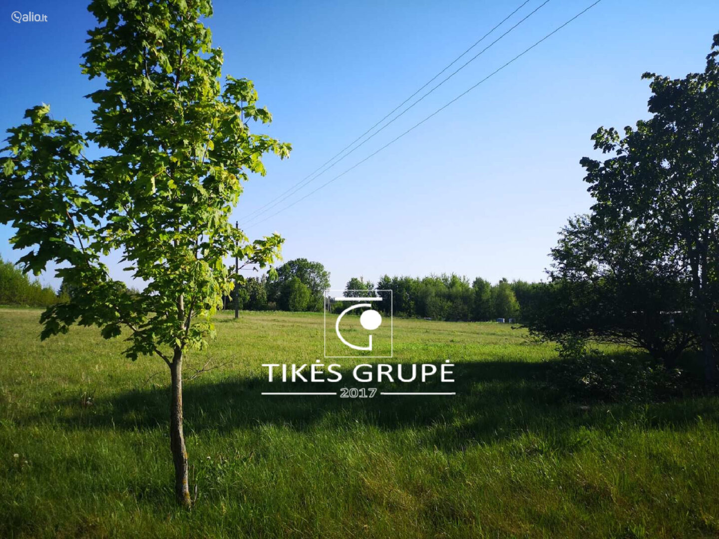 Klaipėdos r. Svencelės k. Parduodamas 1.2 hektaro sklypas. Sklypas puikiai tinkantis investicijai, bei kurti gyvenamųjų namų kvartaliuką,