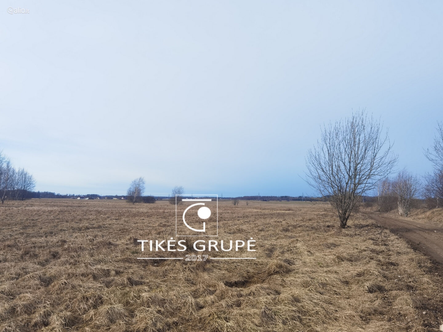 Klaipėdos raj., Rusliuose parduodamas 21.81 aro namų valdos sklypas ( 2 atskiri turto vienetai 10,8 aro ir 11,01 aro. Sklypams suteikti adresai, atlikti kadastriniai matavimai. Sklypai geroje, atokesnėje vietoje.