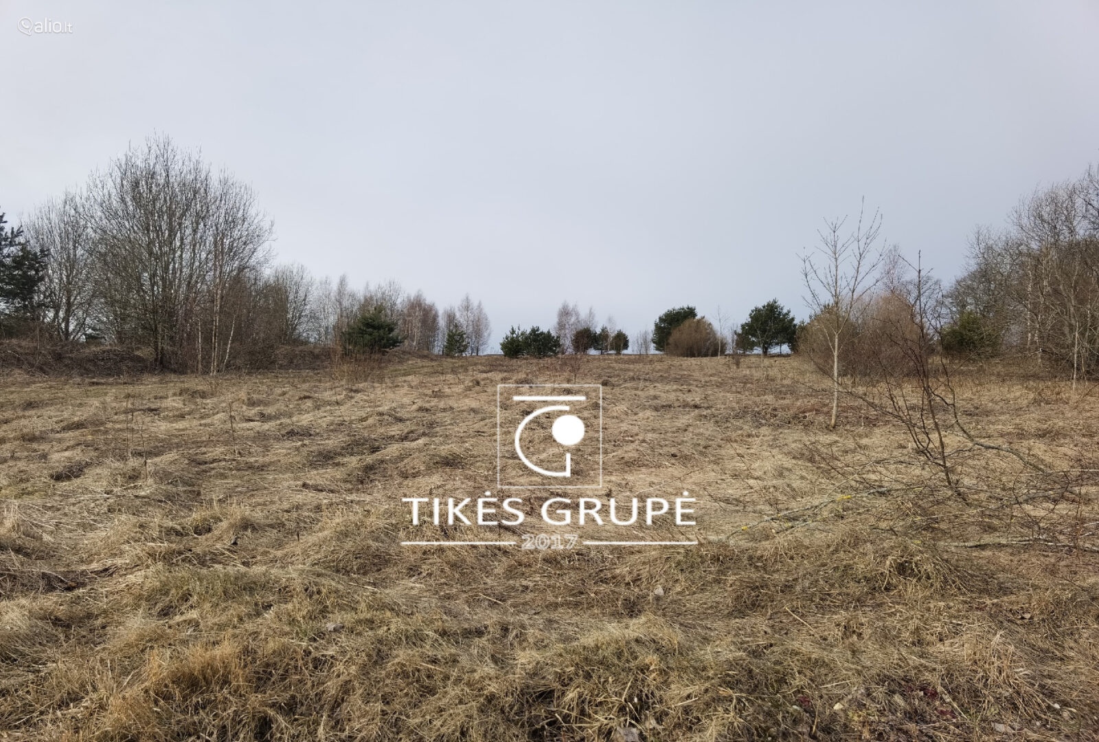 Klaipėdos raj., Rusliuose parduodamas 21.81 aro namų valdos sklypas ( 2 atskiri turto vienetai 10,8 aro ir 11,01 aro. Sklypams suteikti adresai, atlikti kadastriniai matavimai. Sklypai geroje, atokesnėje vietoje.