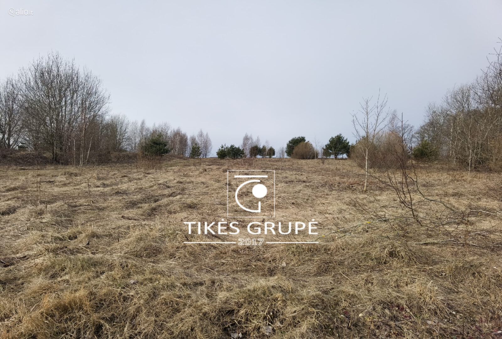 Klaipėdos raj., Rusliuose parduodamas 21.81 aro namų valdos sklypas ( 2 atskiri turto vienetai 10,8 aro ir 11,01 aro. Sklypams suteikti adresai, atlikti kadastriniai matavimai. Sklypai geroje, atokesnėje vietoje.