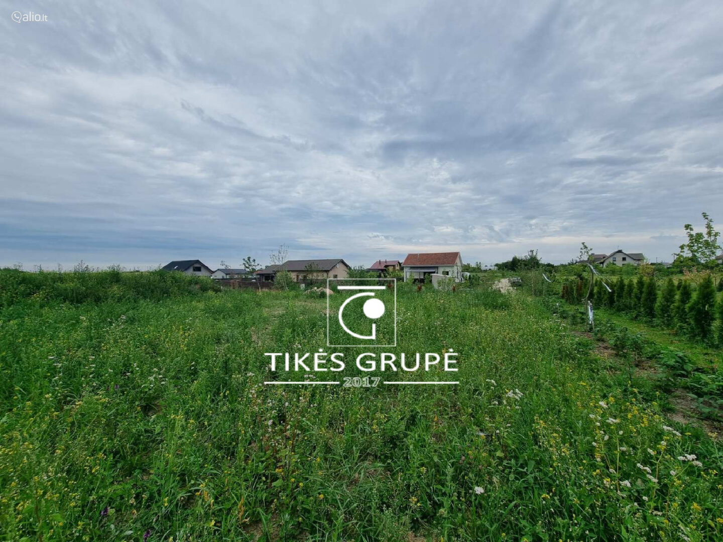 Kretingalėje parduodami du namų valdos sklypai 25 arų ir 12 arų. Yra projektas ir statybos leidimas gyvenamam namui 135 kv.m.