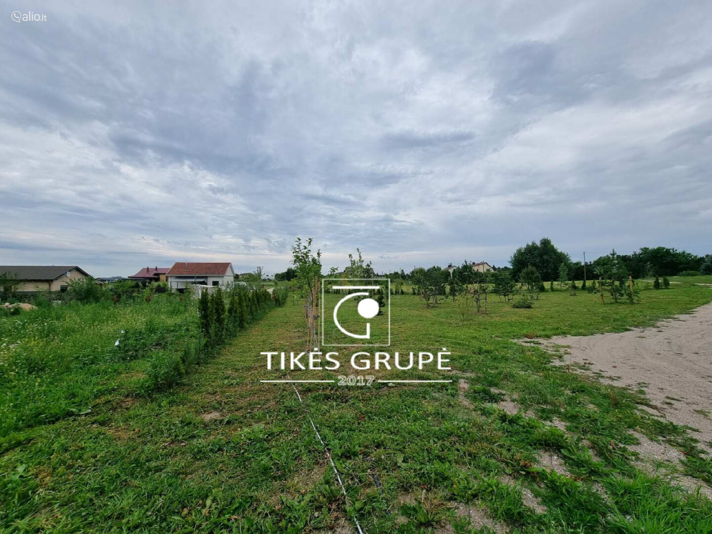 Kretingalėje parduodami du namų valdos sklypai 25 arų ir 12 arų. Yra projektas ir statybos leidimas gyvenamam namui 135 kv.m.