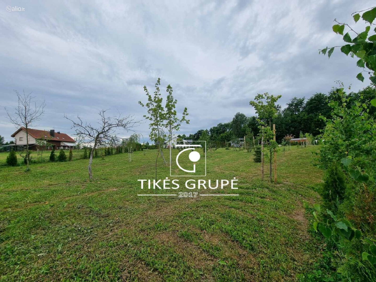 Kretingalėje parduodami du namų valdos sklypai 25 arų ir 12 arų. Yra projektas ir statybos leidimas gyvenamam namui 135 kv.m.