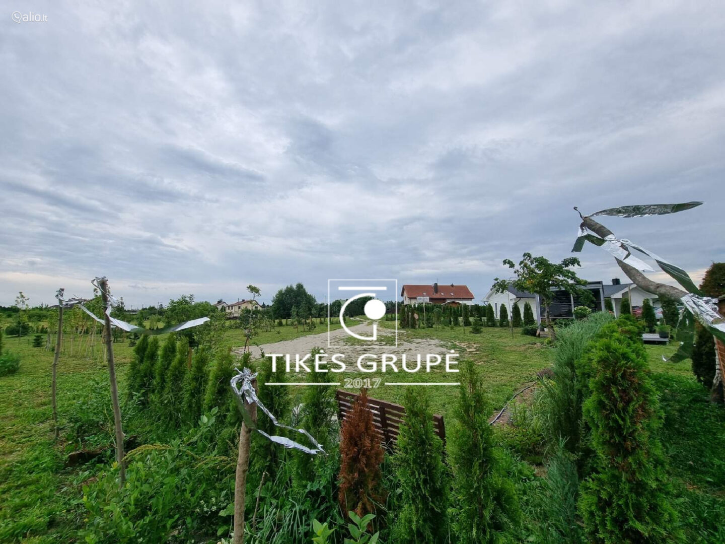 Kretingalėje parduodami du namų valdos sklypai 25 arų ir 12 arų. Yra projektas ir statybos leidimas gyvenamam namui 135 kv.m.