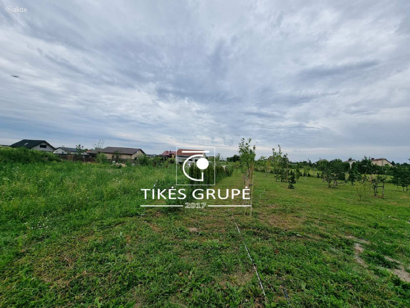 Kretingalėje parduodami du namų valdos sklypai 25 arų ir 12 arų. Yra projektas ir statybos leidimas gyvenamam namui 135 kv.m.