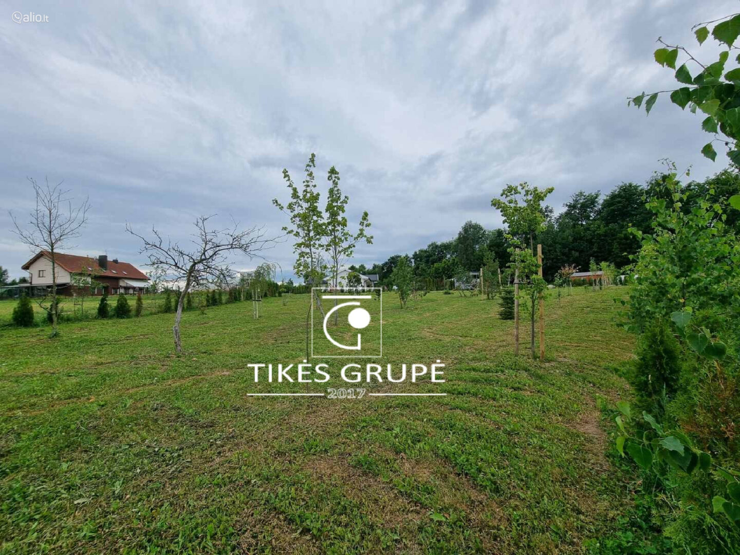 Kretingalėje parduodami du namų valdos sklypai 25 arų ir 12 arų. Yra projektas ir statybos leidimas gyvenamam namui 135 kv.m.