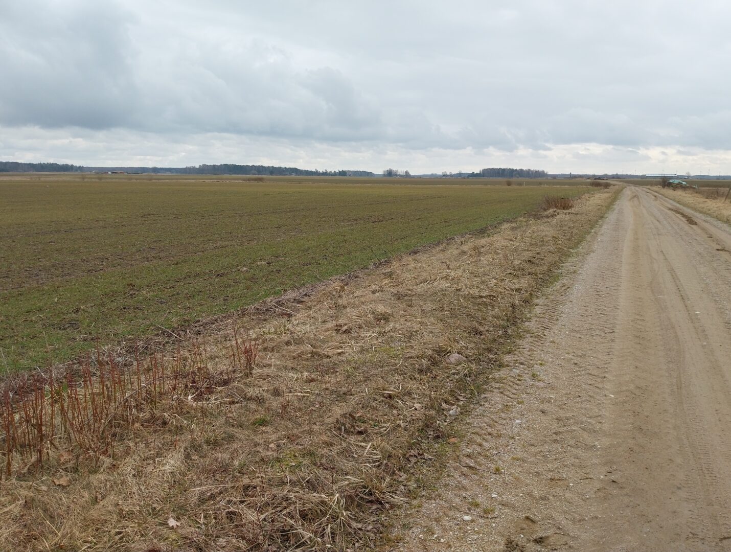 Sklypas Klaipėdos raj. Agluonėnuose