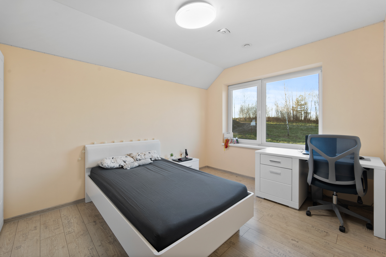 SVAJONIŲ NAMAS ŠEIMAI UŽ PROTINGĄ KAINĄ