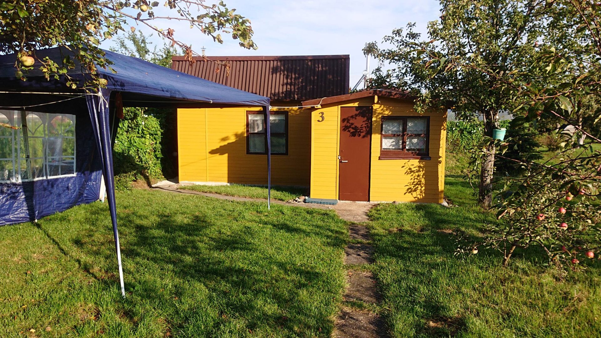 Parduodu sodą, DITUVA