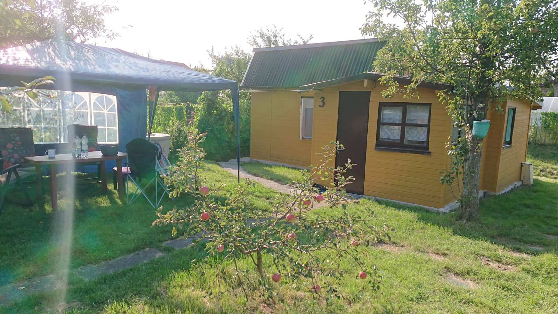 Parduodu sodą, DITUVA