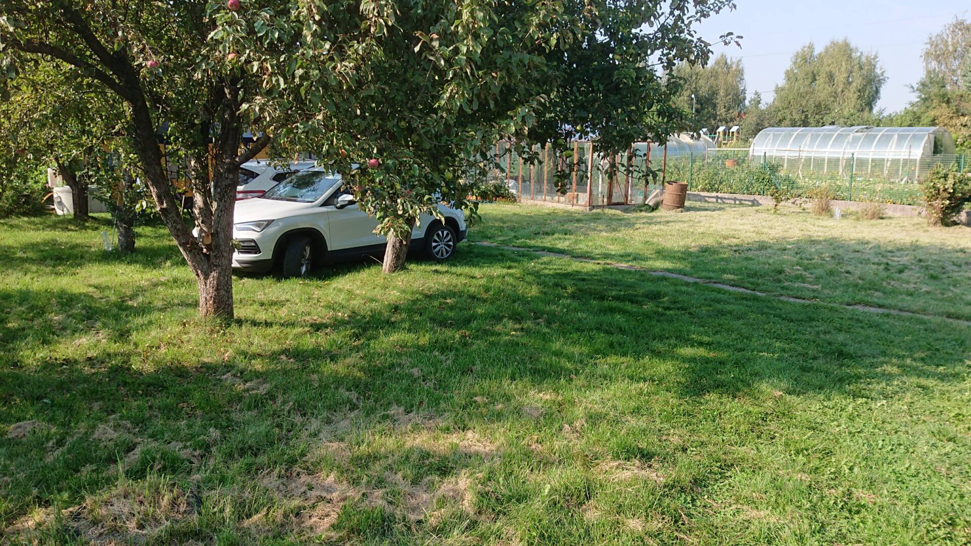 Parduodu sodą, DITUVA