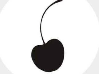 FB_IMG_1703105768522