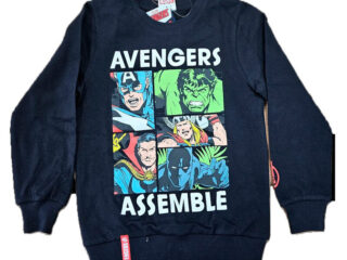 img_314617_d55f74ac01215b5271df2f7b3606e581_1