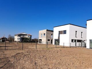 palanga-austrinio-g-1