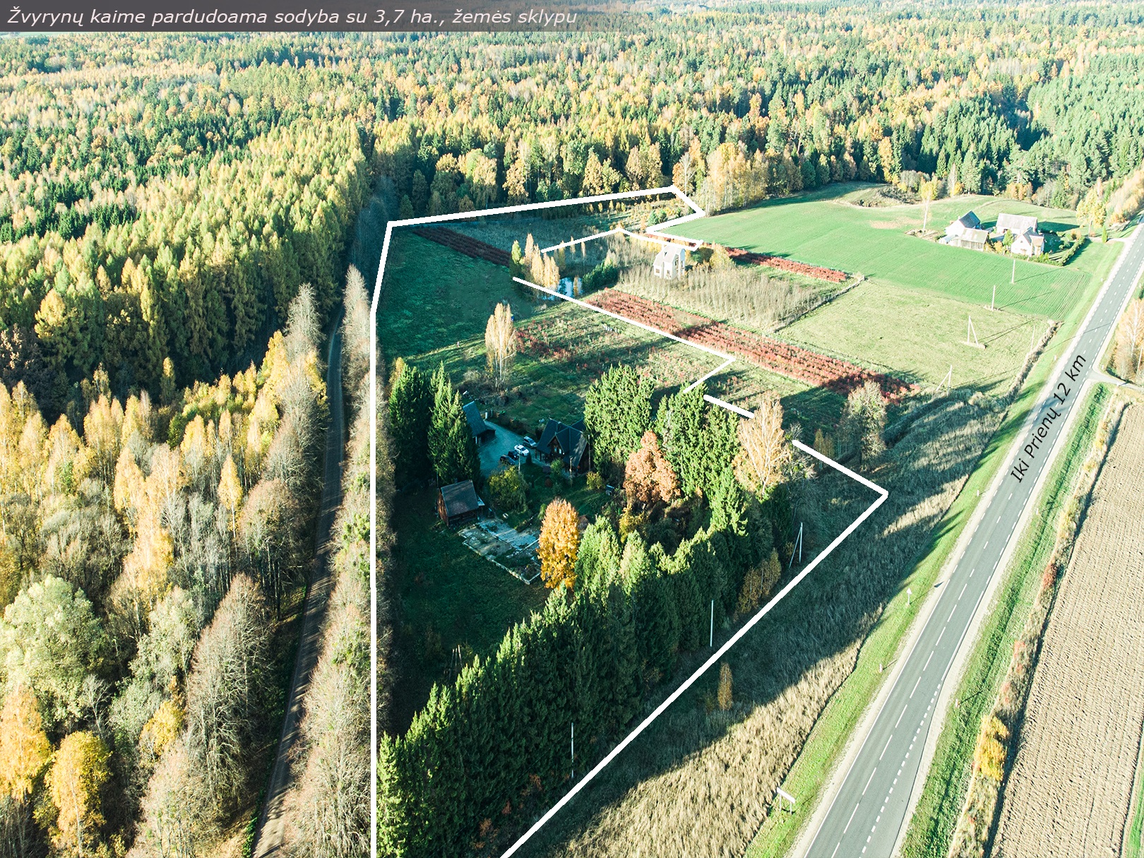 Šalia miško parduodama sodyba su rąstiniu namu