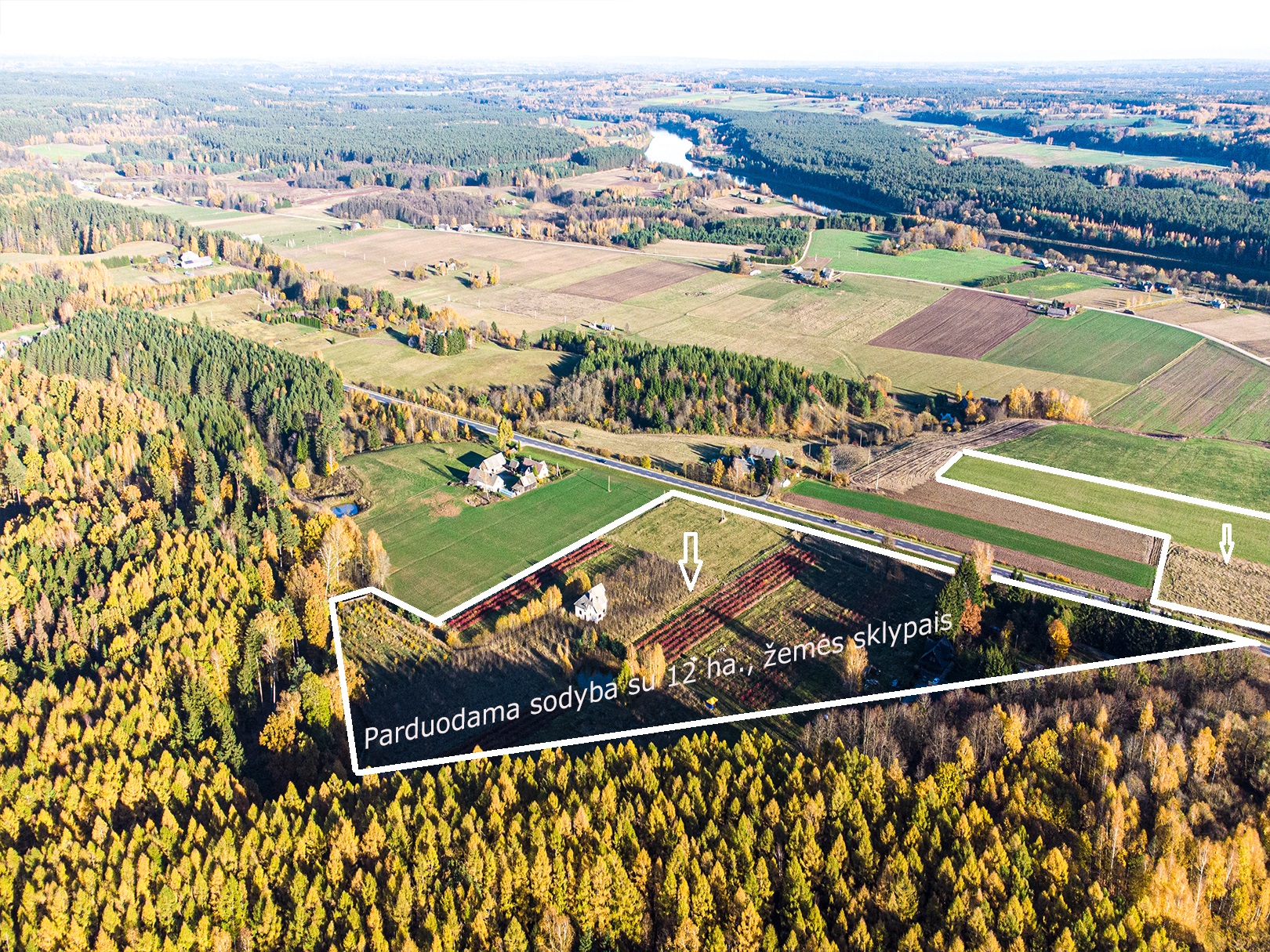 Šalia miško parduodama sodyba su rąstiniu namu