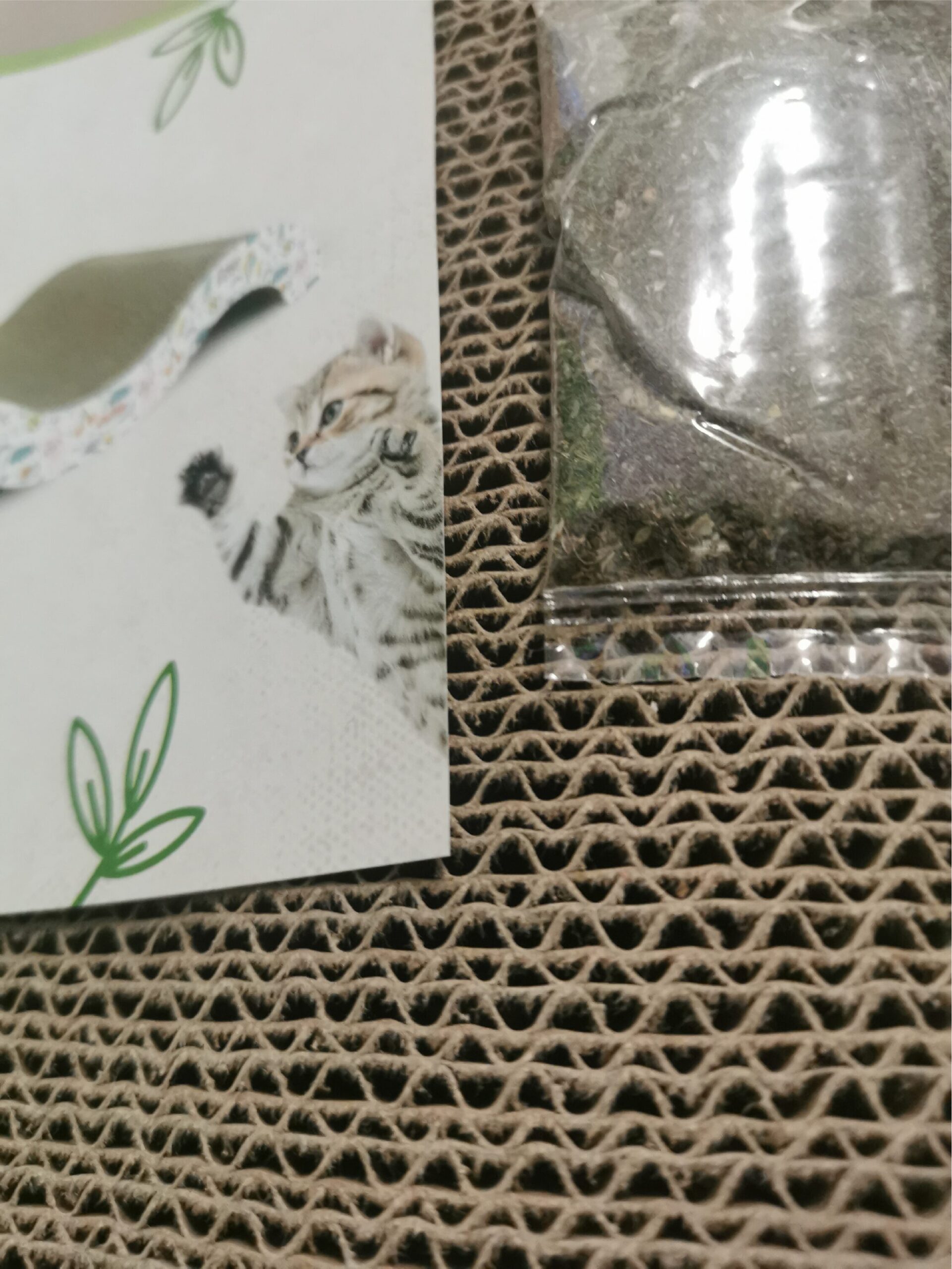 ŽAISLAS – DRASKYKLĖ KATĖMS 50CM ILGIO