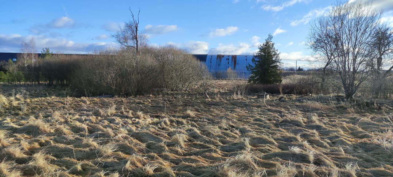 Skuode parduodamas sklypas