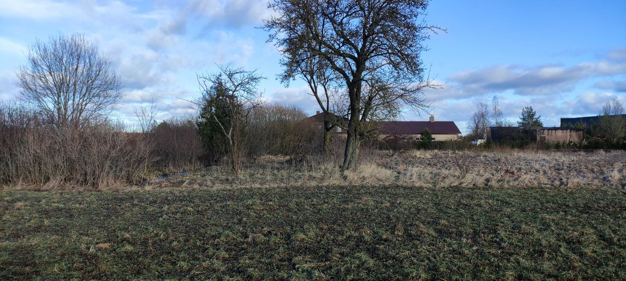 Skuode parduodamas sklypas