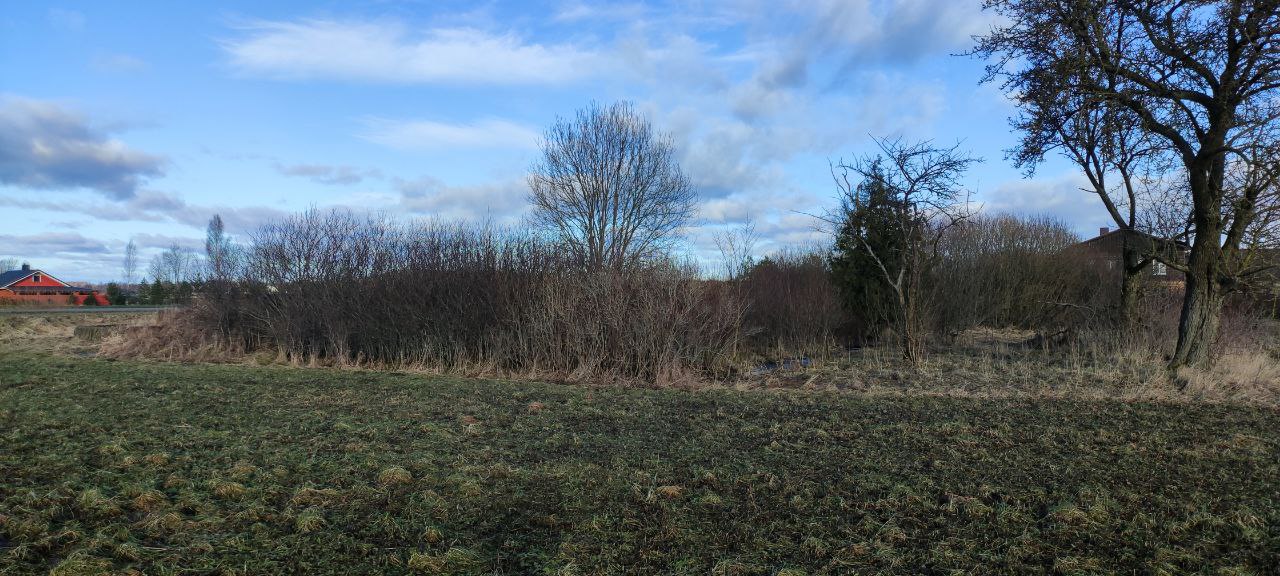 Skuode parduodamas sklypas