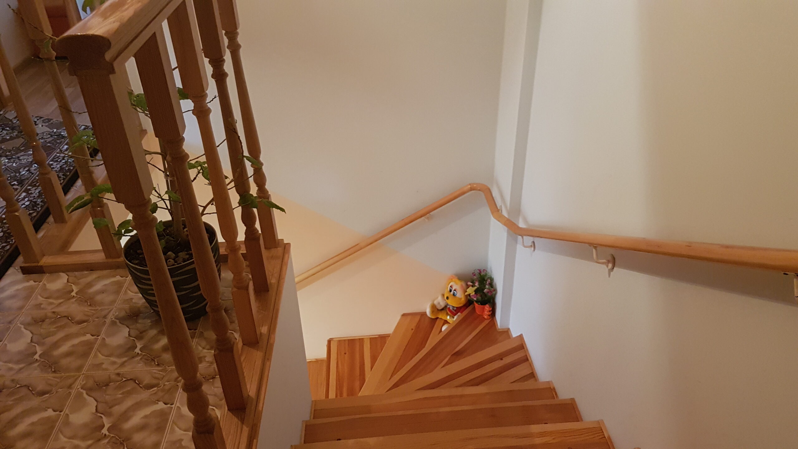 Parduodamas gyvenamasis namas su garažu ir 6 arais žemės