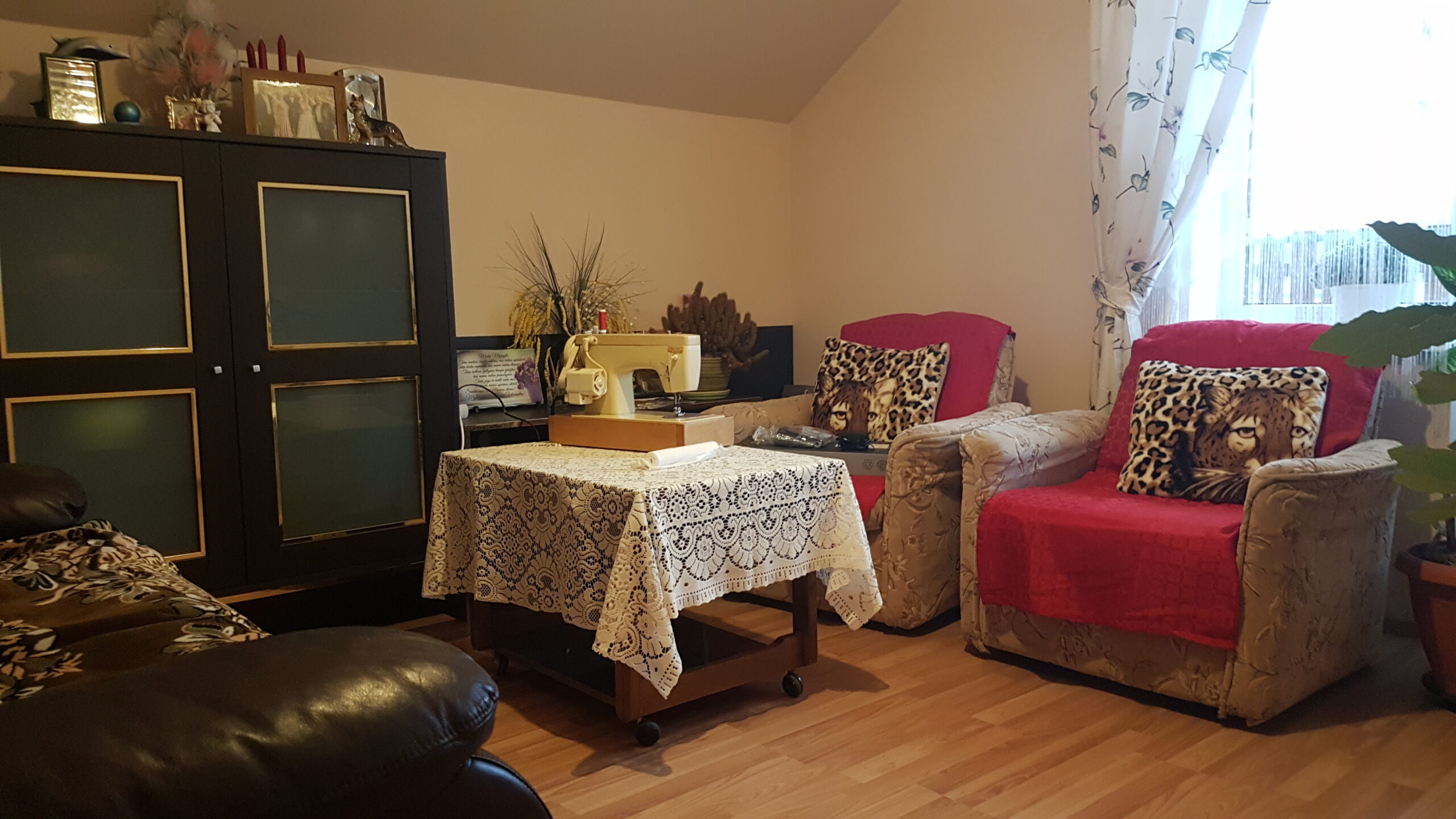 Parduodamas gyvenamasis namas su garažu ir 6 arais žemės