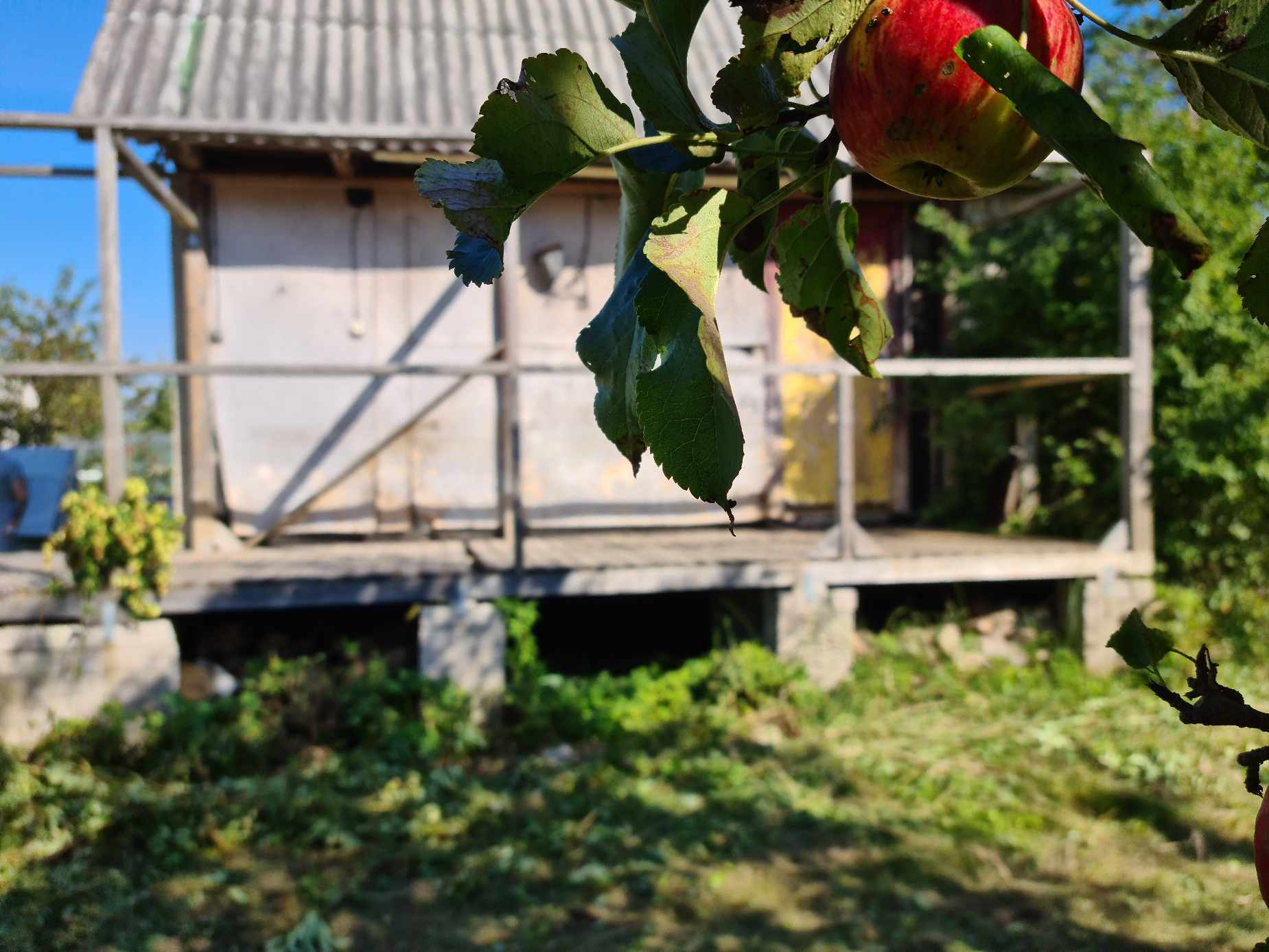 Mūrinis sodo namas “Šernuose”