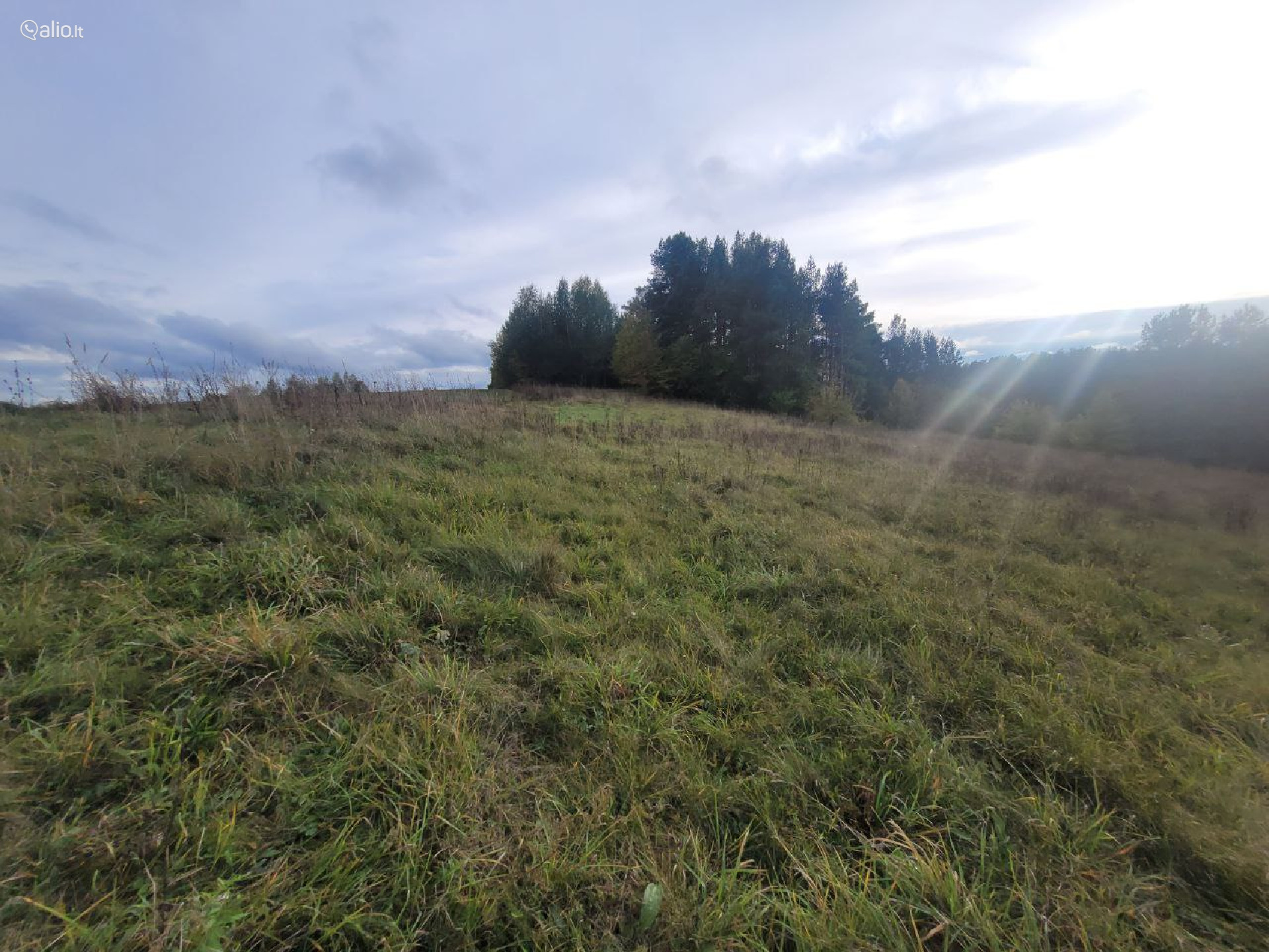 SKLYPAS VARĖNOS R. SU 100 m. EŽERO PAKRANTE