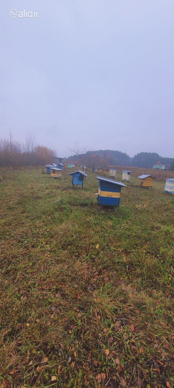 SKLYPAI VARĖNOS RAJ. TETERVINĖS K