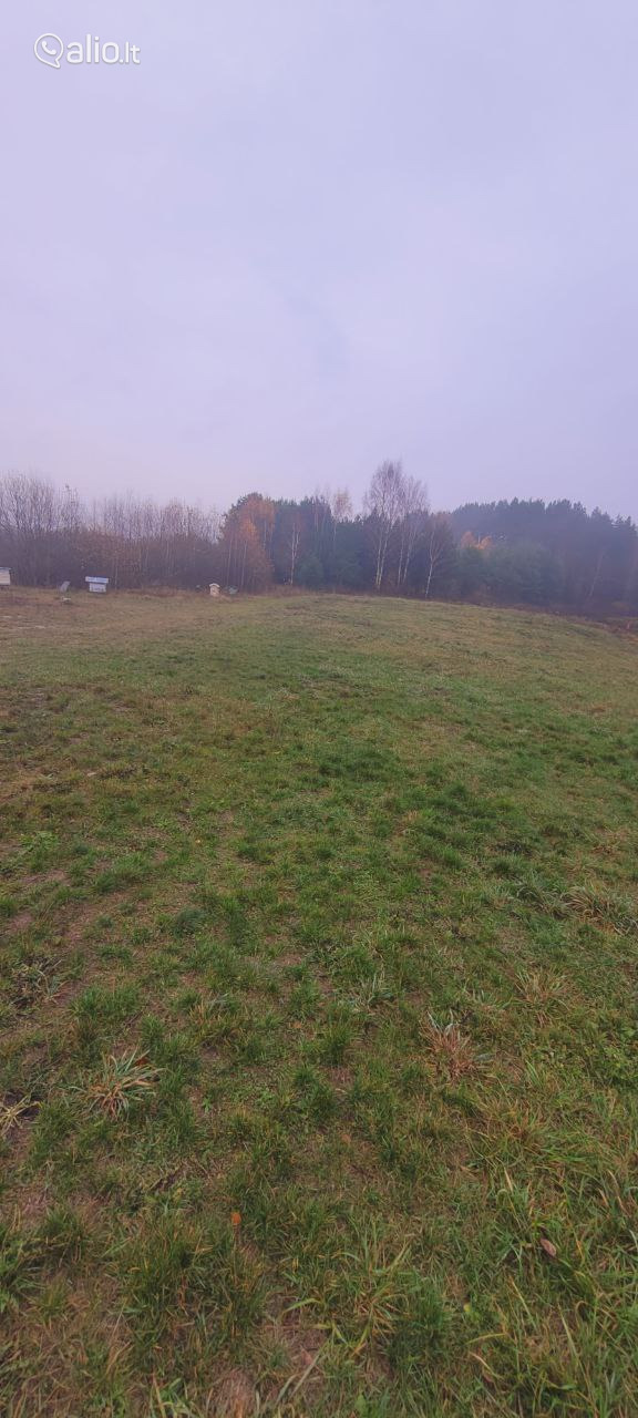 SKLYPAI VARĖNOS RAJ. TETERVINĖS K