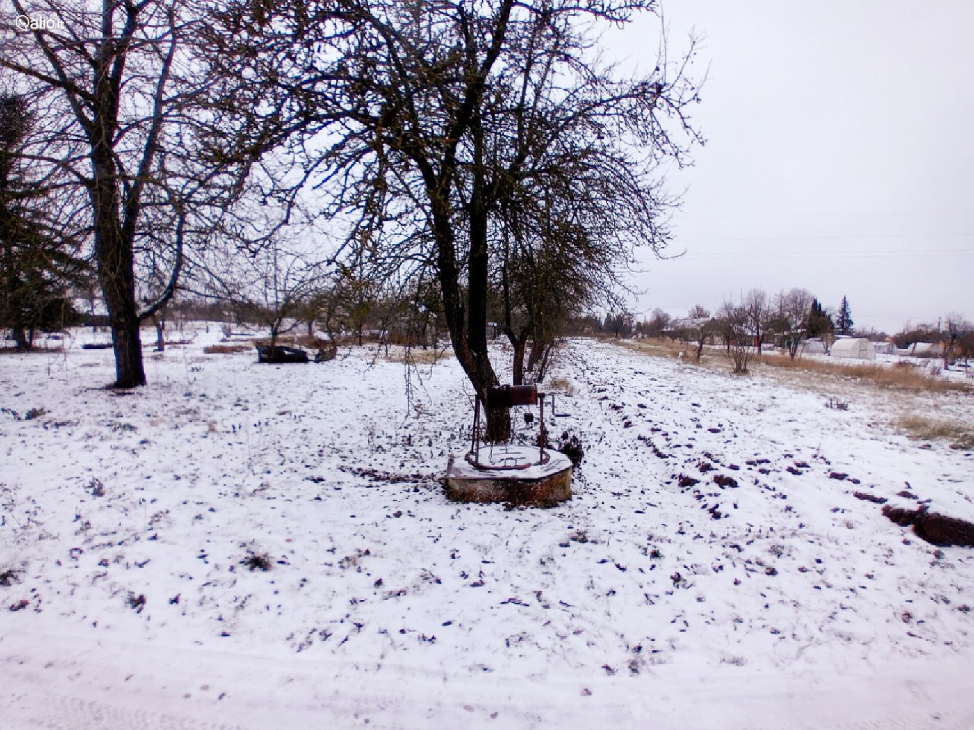 SODO NAMELIS RADVILIŠKIO RAJ. BAISOGALOJE