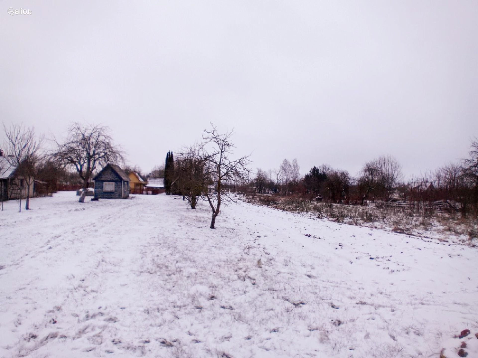 SODO NAMELIS RADVILIŠKIO RAJ. BAISOGALOJE