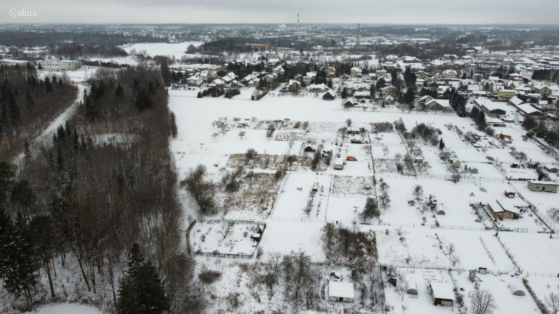 SKLYPAS DEMBAVOJE PANEVEZIO RAJ.