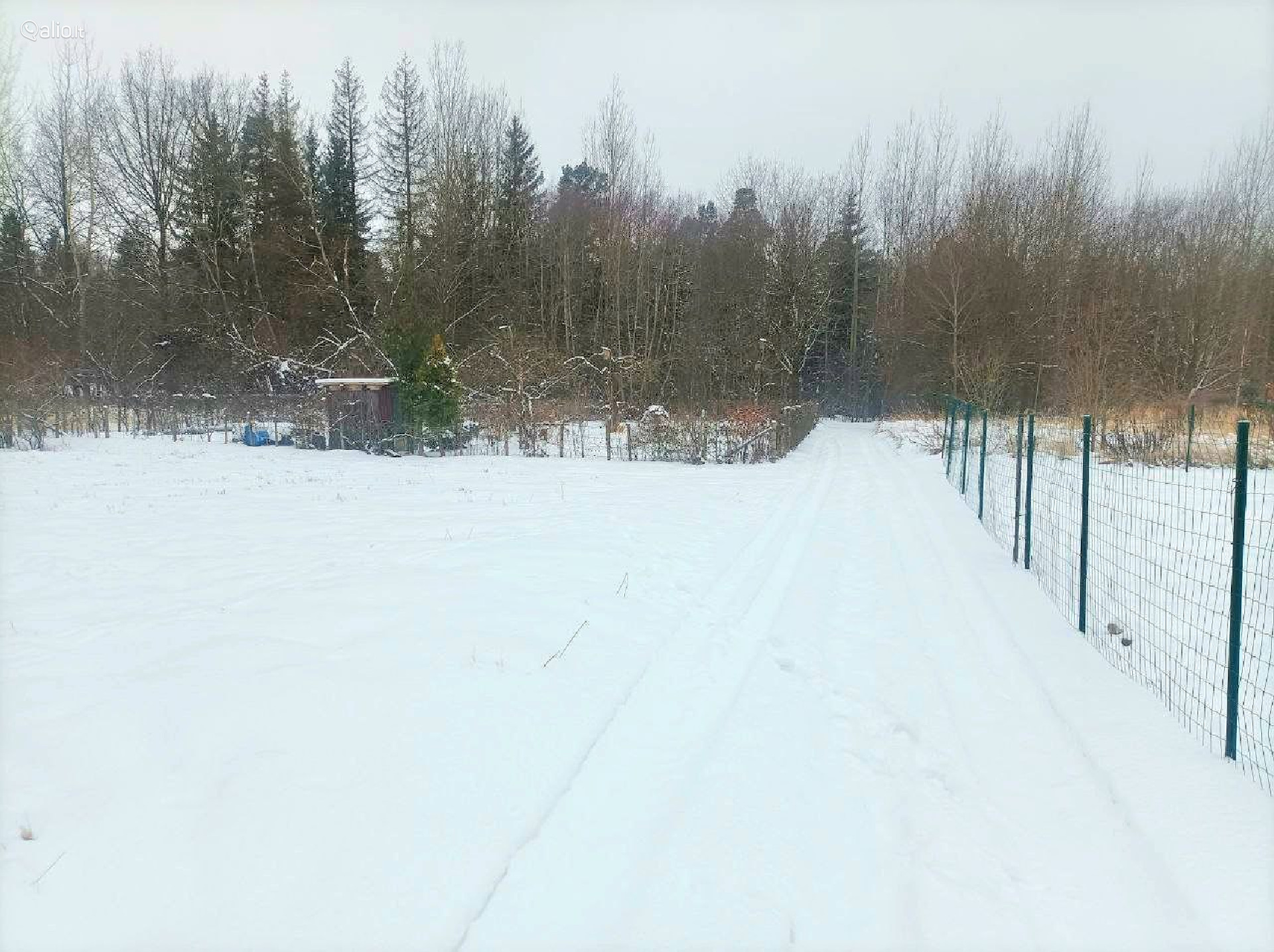 SKLYPAS DEMBAVOJE PANEVEZIO RAJ.