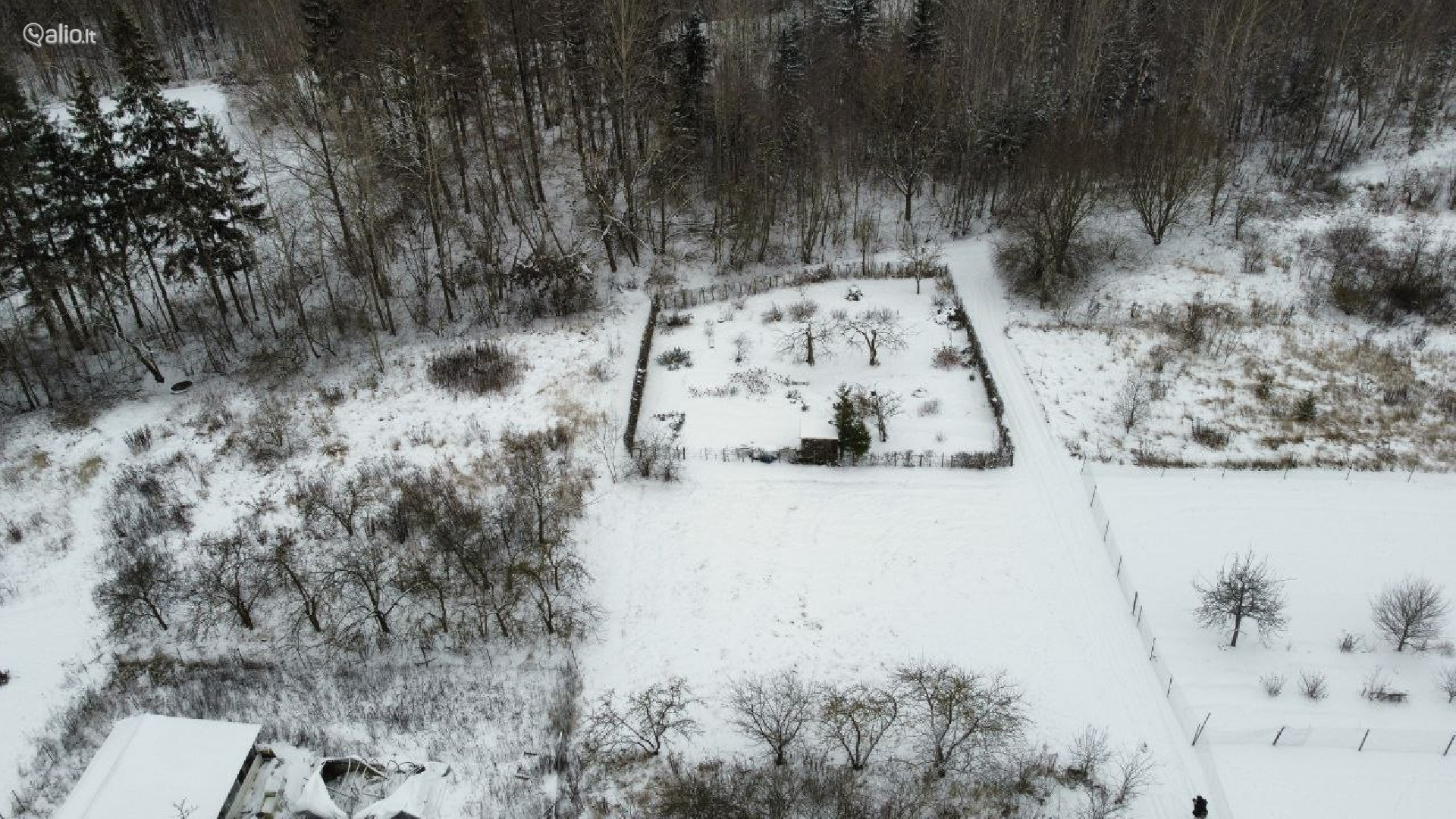 SKLYPAS DEMBAVOJE PANEVEZIO RAJ.