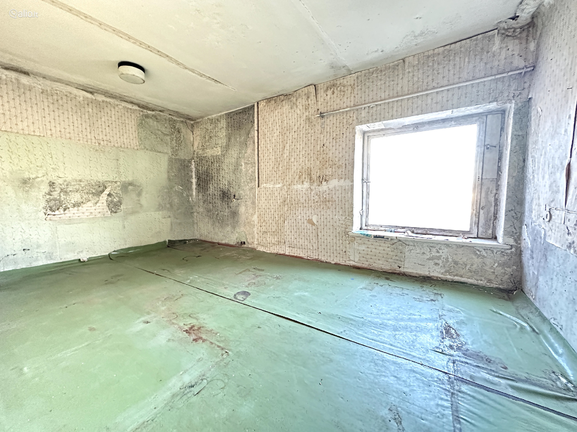 PARDUODAMAS BUTAS PALANGOS CENTRE