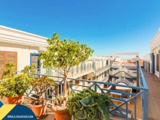 FB_IMG_1708451998988