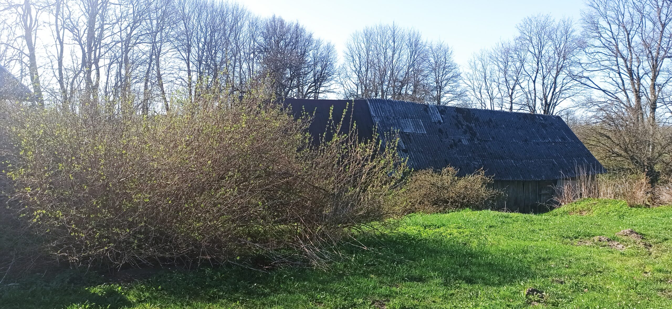 Graži sena sodybaREZERVUOTA