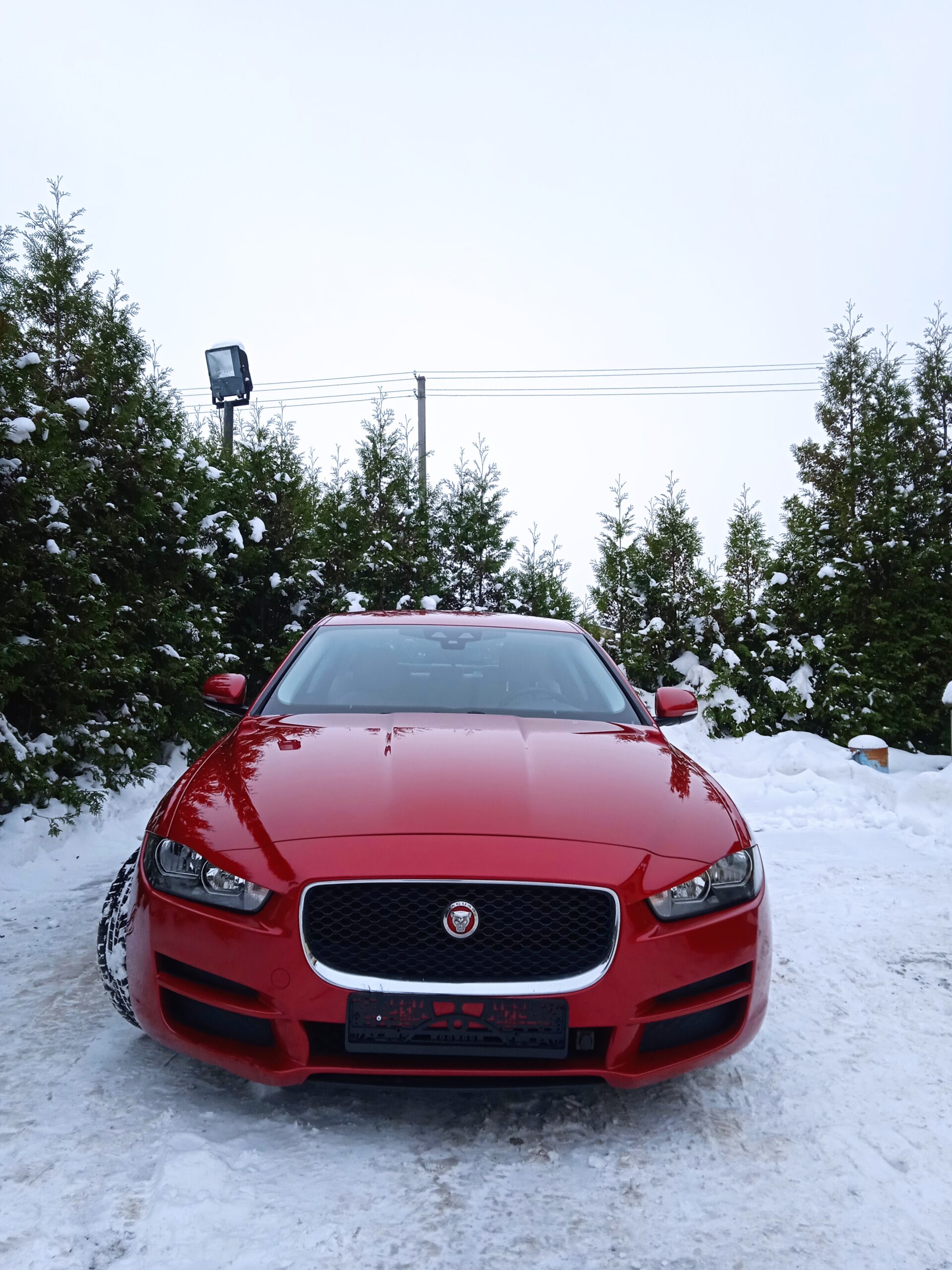 Smart Detailing – Poliravimas🌪️ Cheminis valymas 🧽