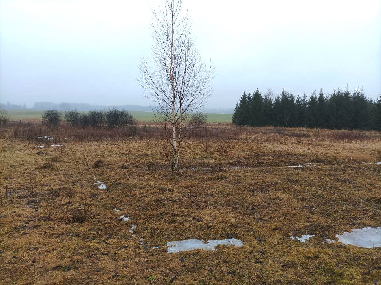 Parduodami du besiribojantys sklypai Biržų r.