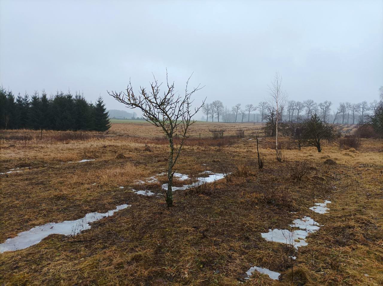 Parduodami du besiribojantys sklypai Biržų r.