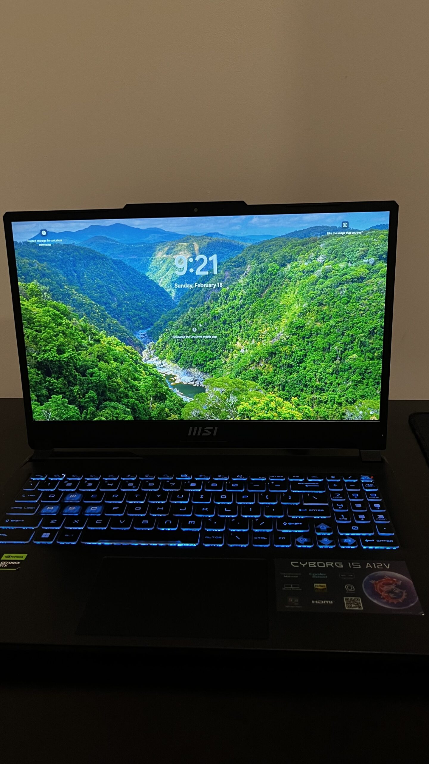 MSI cyborg 15 a12v Laptopas
