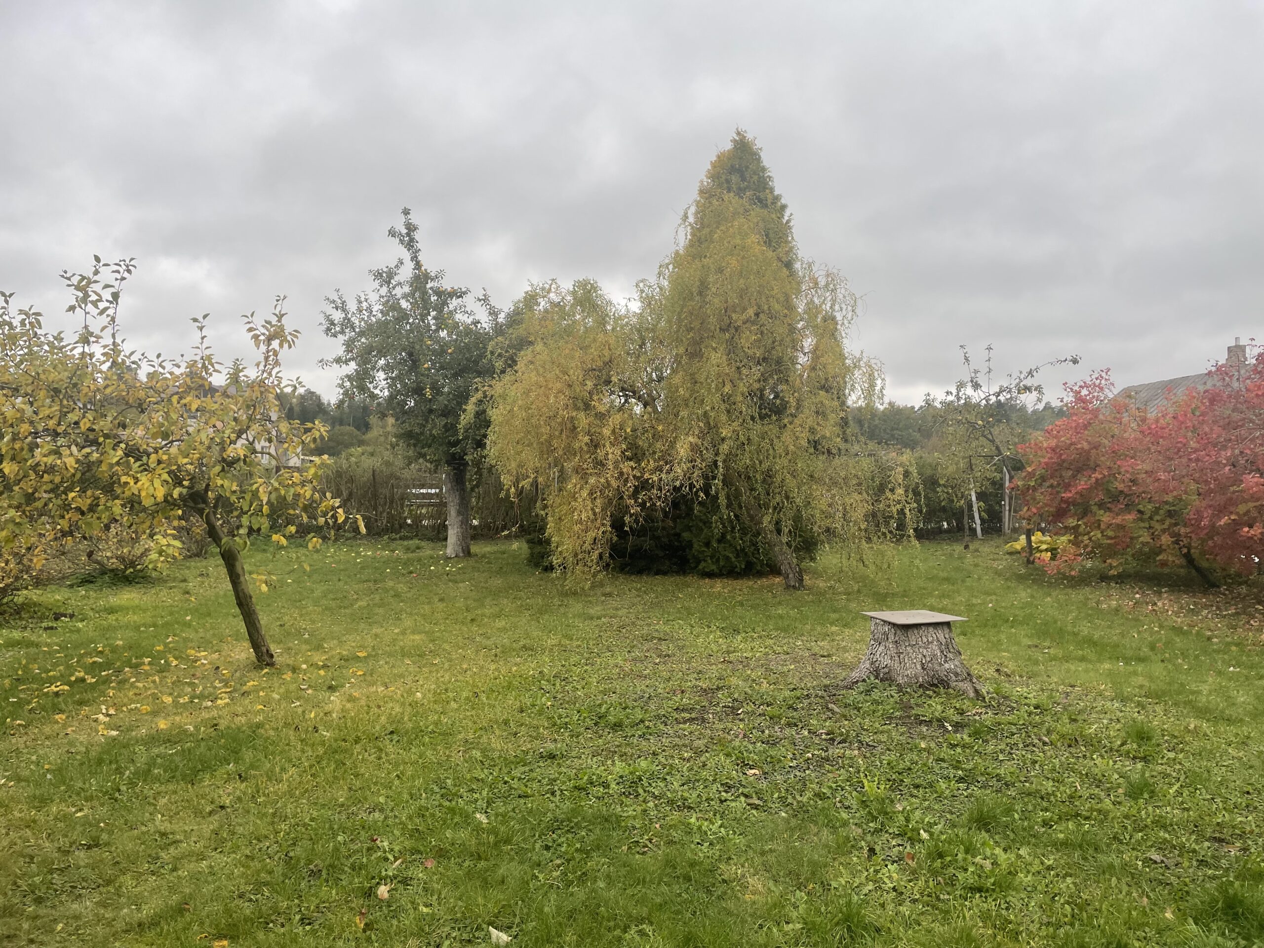 Parduodamas 6 aru sodo sklypas