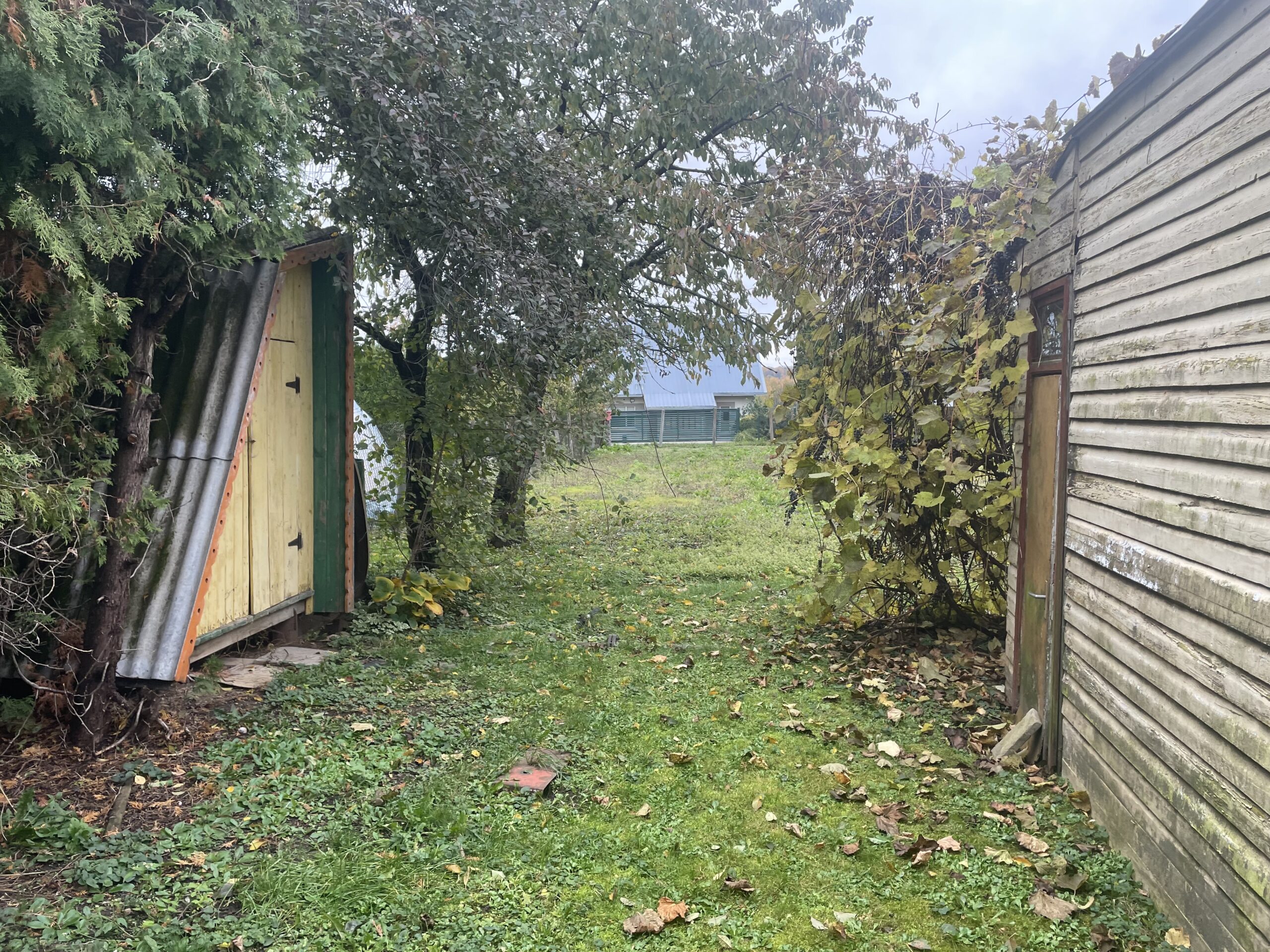 Parduodamas 6 aru sodo sklypas